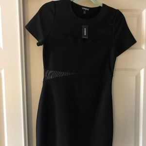 Express Cocktail Dress
